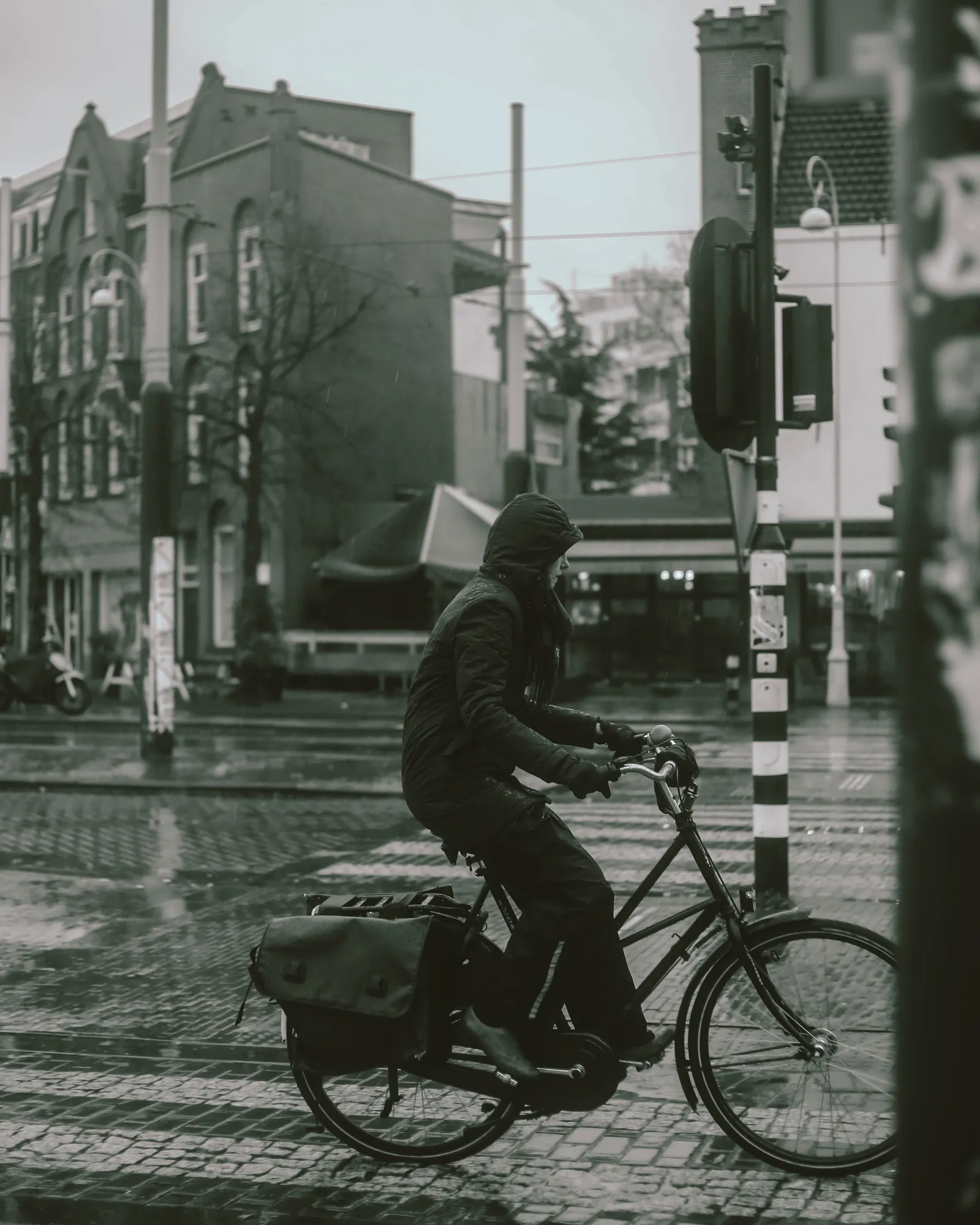 A cyclist moving through a rainy Amsterdam street, seen within everyday Dutch city life.